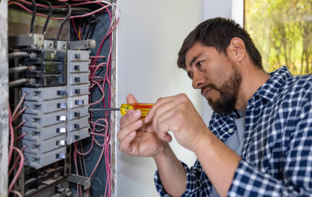 Best Electrical Repair Services  in Forrest, IL